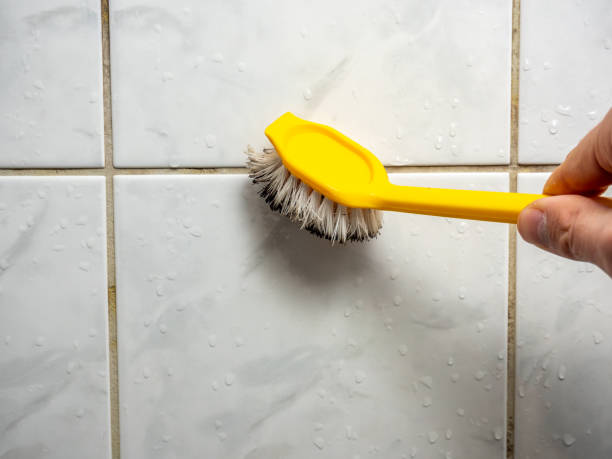Best Mold Removal Near Me  in Waverly, IL