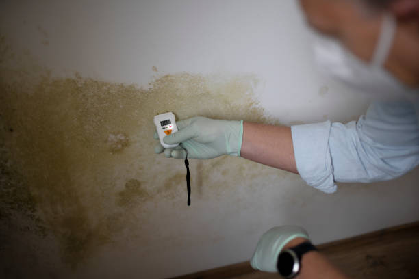 Water Damage Restoration in Waverly, IL