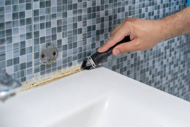 Mold Removal Process in Waverly, IL