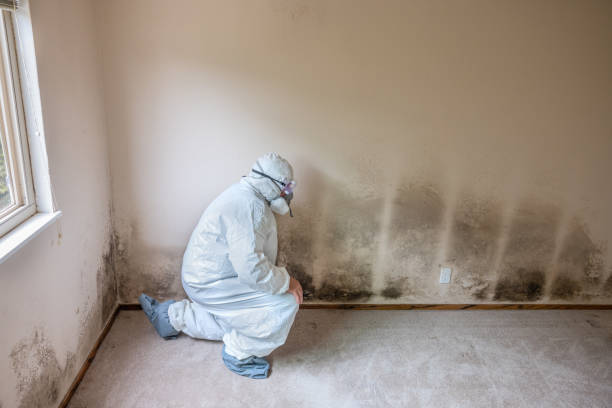 Water Damage Restoration in Waverly, IL